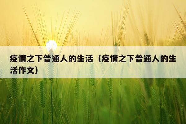 疫情之下普通人的生活（疫情之下普通人的生活作文）