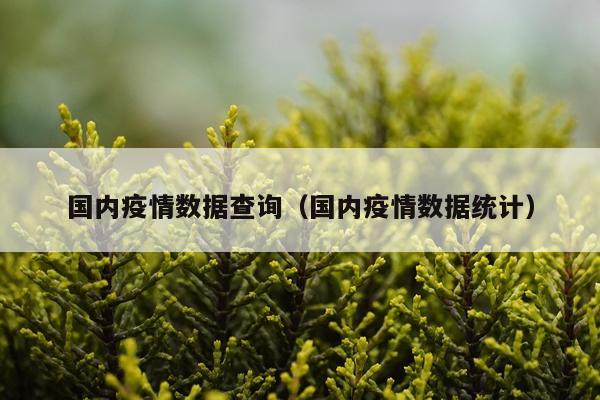 国内疫情数据查询（国内疫情数据统计）
