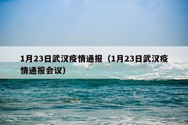 1月23日武汉疫情通报（1月23日武汉疫情通报会议）