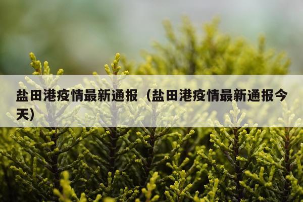 盐田港疫情最新通报（盐田港疫情最新通报今天）