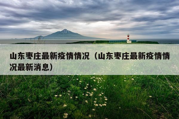 山东枣庄最新疫情情况（山东枣庄最新疫情情况最新消息）