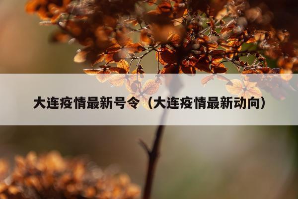 大连疫情最新号令（大连疫情最新动向）