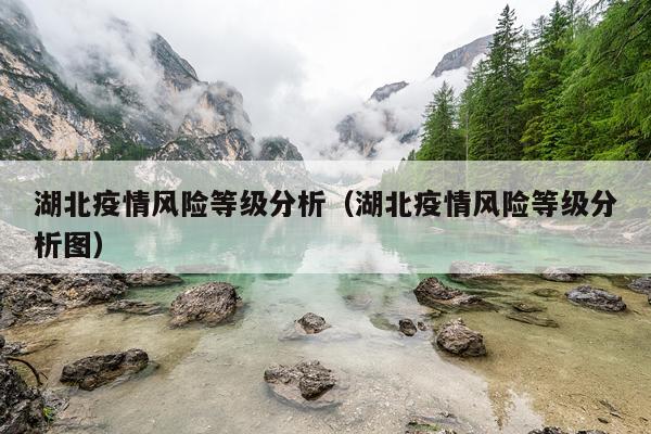 湖北疫情风险等级分析（湖北疫情风险等级分析图）