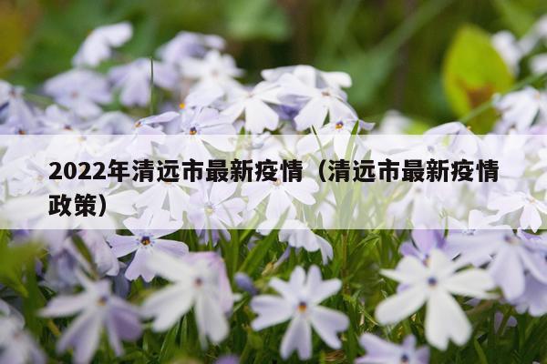 2022年清远市最新疫情（清远市最新疫情政策）