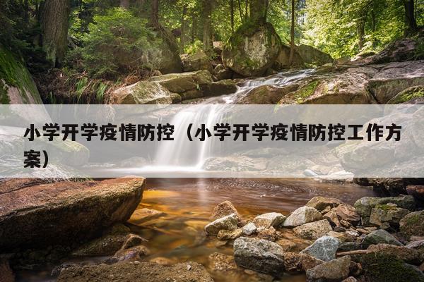 小学开学疫情防控（小学开学疫情防控工作方案）