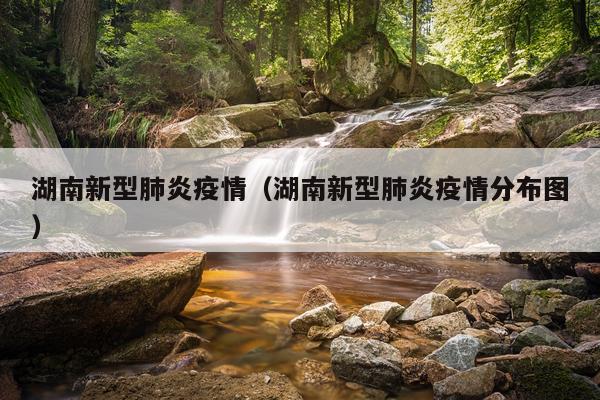 湖南新型肺炎疫情（湖南新型肺炎疫情分布图）