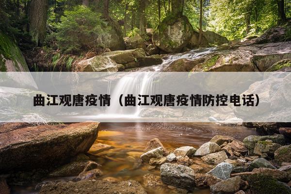 曲江观唐疫情（曲江观唐疫情防控电话）