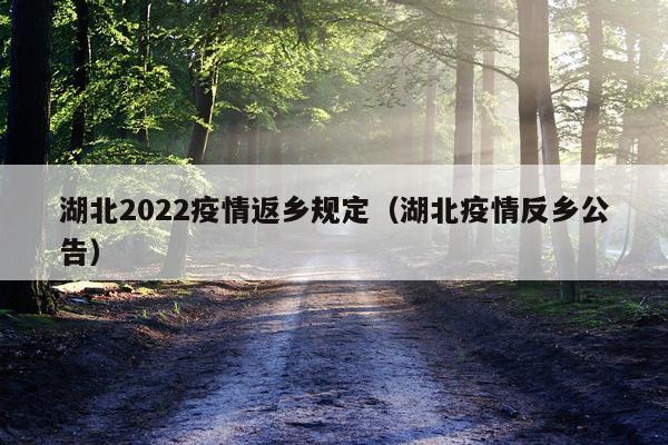 湖北2022疫情返乡规定（湖北疫情反乡公告）