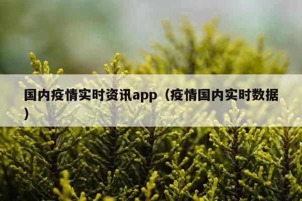 国内疫情实时资讯app（疫情国内实时数据）