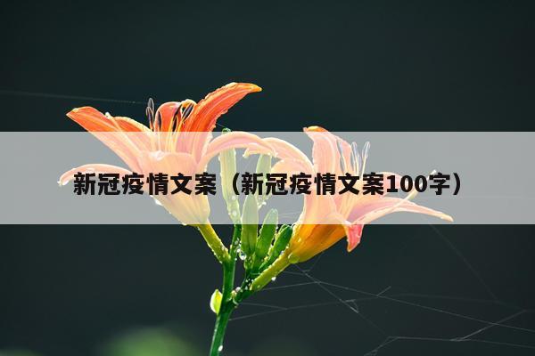 新冠疫情文案（新冠疫情文案100字）