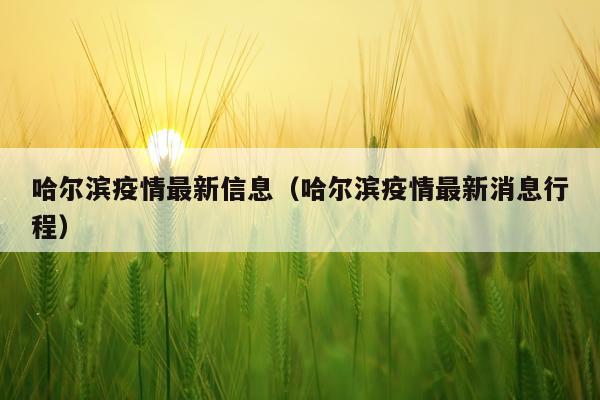 哈尔滨疫情最新信息（哈尔滨疫情最新消息行程）