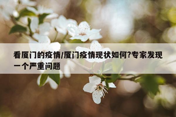 看厦门的疫情/厦门疫情现状如何?专家发现一个严重问题