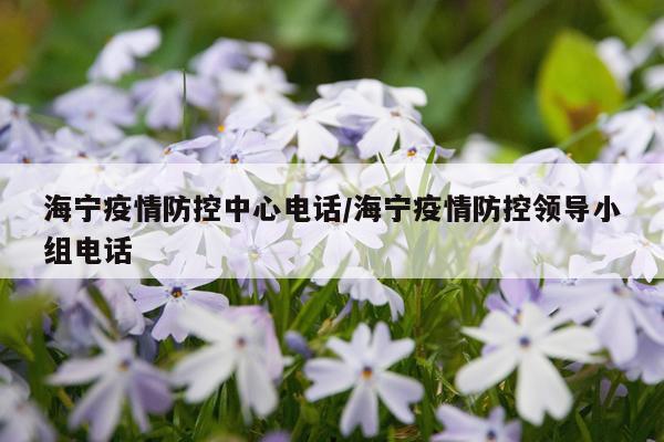 海宁疫情防控中心电话/海宁疫情防控领导小组电话