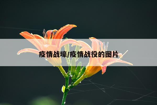 疫情战壕/疫情战役的图片