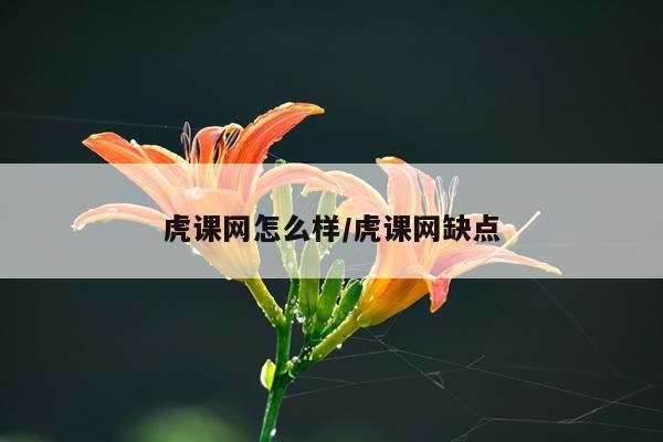 虎课网怎么样/虎课网缺点