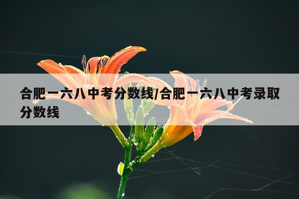 合肥一六八中考分数线/合肥一六八中考录取分数线