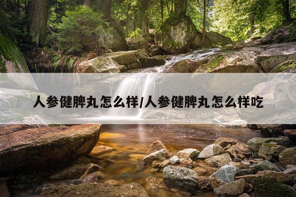 人参健脾丸怎么样/人参健脾丸怎么样吃