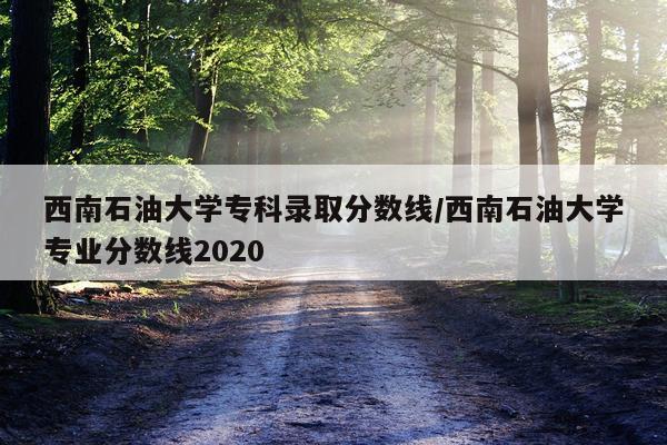 西南石油大学专科录取分数线/西南石油大学专业分数线2020