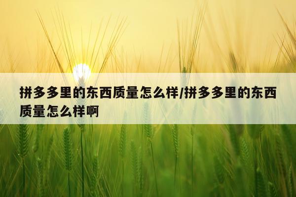拼多多里的东西质量怎么样/拼多多里的东西质量怎么样啊