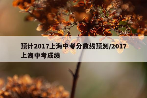 预计2017上海中考分数线预测/2017上海中考成绩