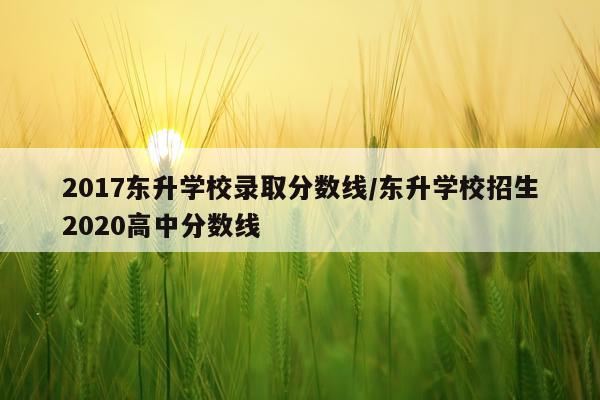 2017东升学校录取分数线/东升学校招生2020高中分数线