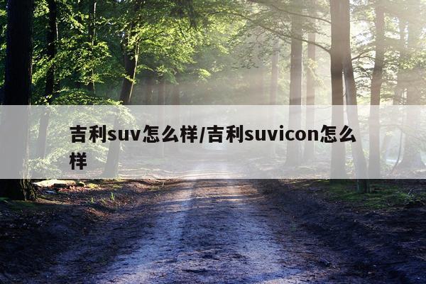 吉利suv怎么样/吉利suvicon怎么样