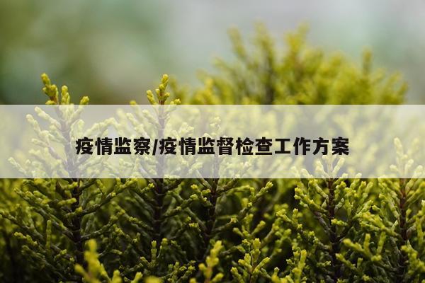 疫情监察/疫情监督检查工作方案