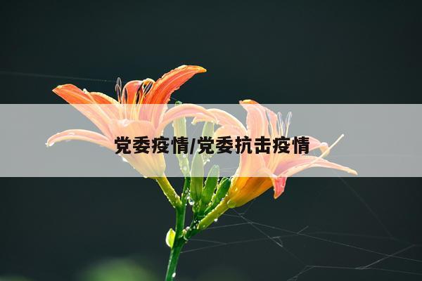 党委疫情/党委抗击疫情