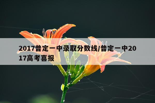 2017普定一中录取分数线/普定一中2017高考喜报