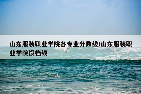 山东服装职业学院各专业分数线/山东服装职业学院投档线