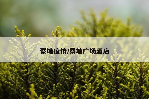 蔡塘疫情/蔡塘广场酒店