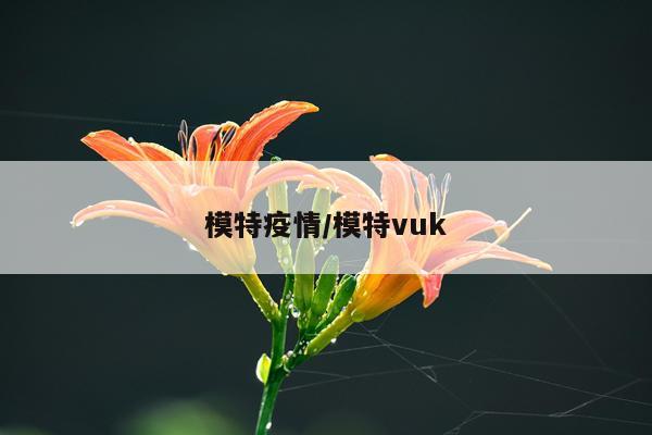 模特疫情/模特vuk
