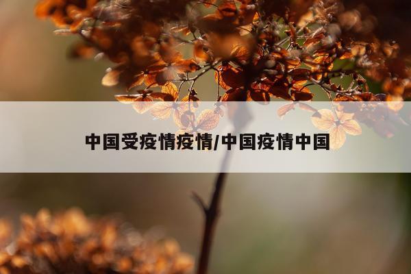 中国受疫情疫情/中国疫情中国
