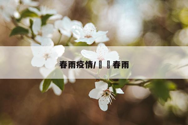 春雨疫情/봄비春雨