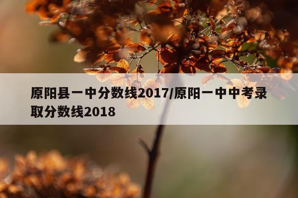 原阳县一中分数线2017/原阳一中中考录取分数线2018