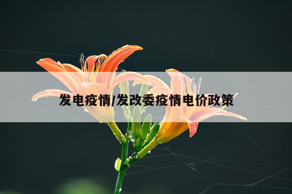 发电疫情/发改委疫情电价政策
