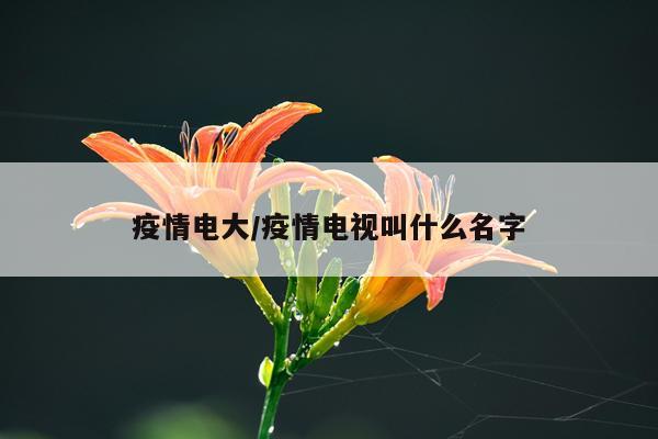 疫情电大/疫情电视叫什么名字