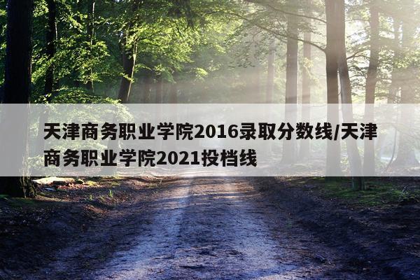 天津商务职业学院2016录取分数线/天津商务职业学院2021投档线