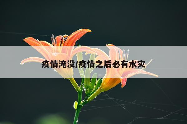 疫情淹没/疫情之后必有水灾