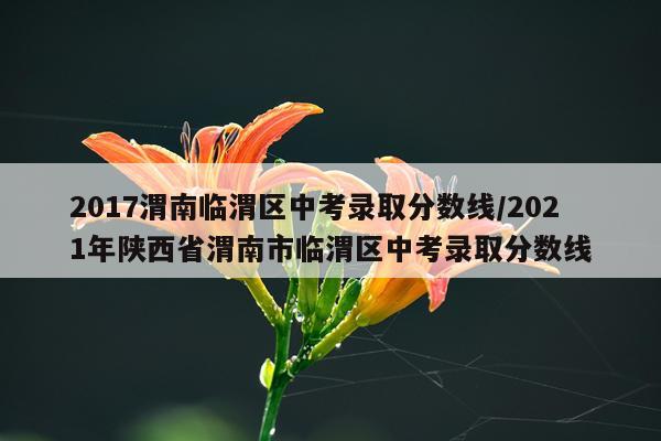 2017渭南临渭区中考录取分数线/2021年陕西省渭南市临渭区中考录取分数线