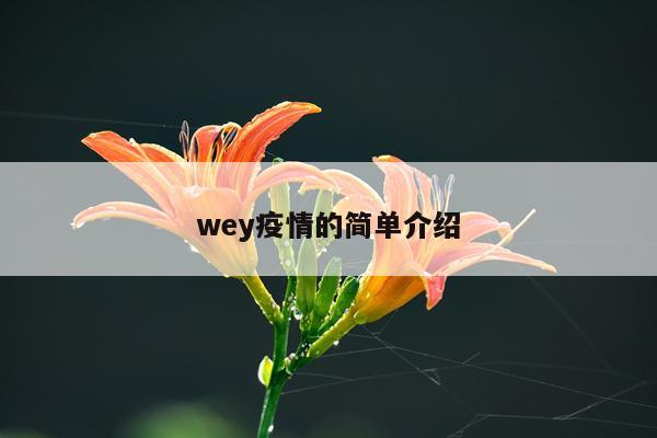 wey疫情的简单介绍