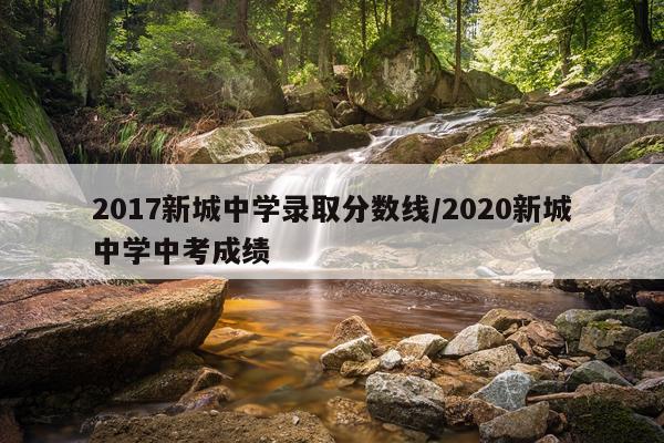 2017新城中学录取分数线/2020新城中学中考成绩
