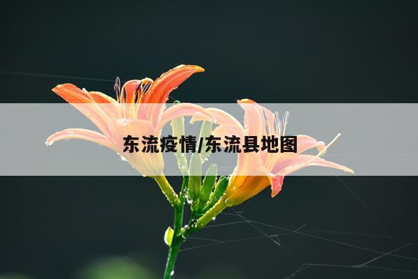 东流疫情/东流县地图