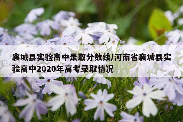 襄城县实验高中录取分数线/河南省襄城县实验高中2020年高考录取情况