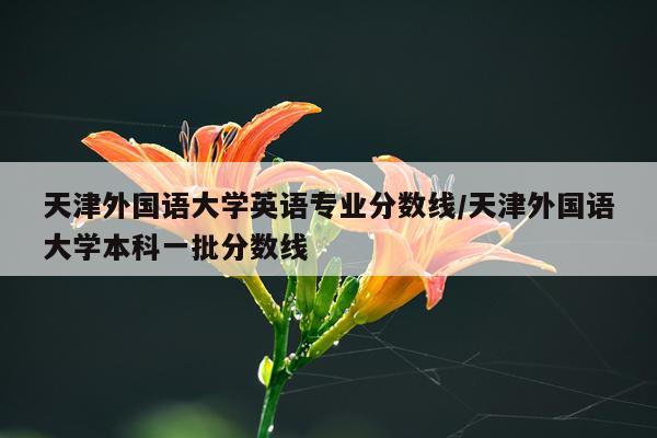天津外国语大学英语专业分数线/天津外国语大学本科一批分数线