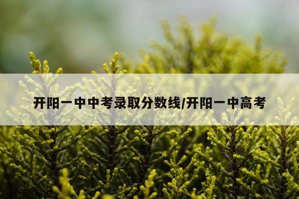 开阳一中中考录取分数线/开阳一中高考