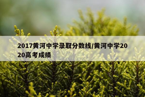 2017黄河中学录取分数线/黄河中学2020高考成绩