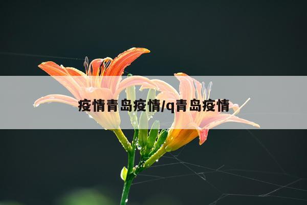 疫情青岛疫情/q青岛疫情