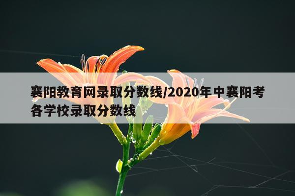 襄阳教育网录取分数线/2020年中襄阳考各学校录取分数线