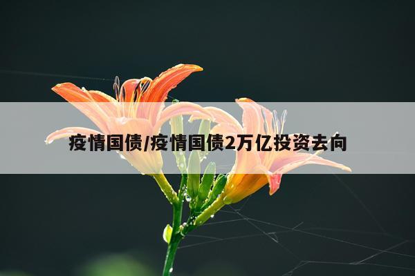 疫情国债/疫情国债2万亿投资去向
